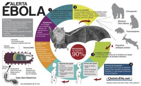 infografia-ebola