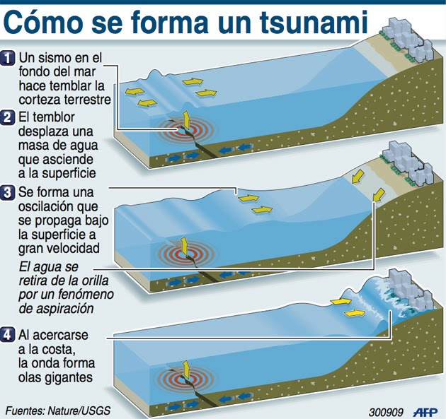 Infografía de Tsunami y su origen.