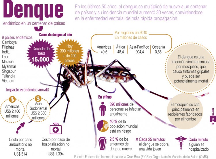 infografia_dengue
