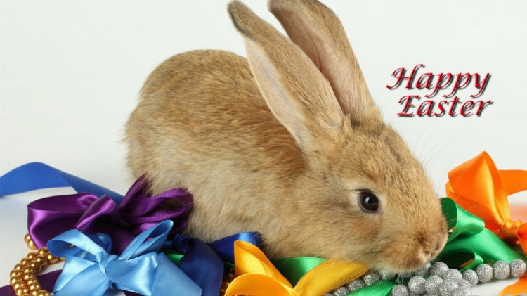 Happy-Easter-Bunny-Images