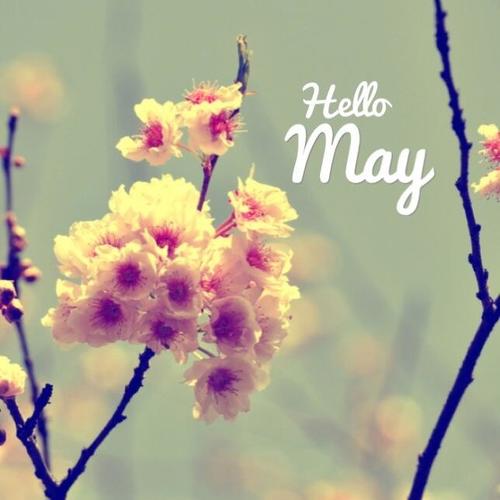 Hello-May-photo