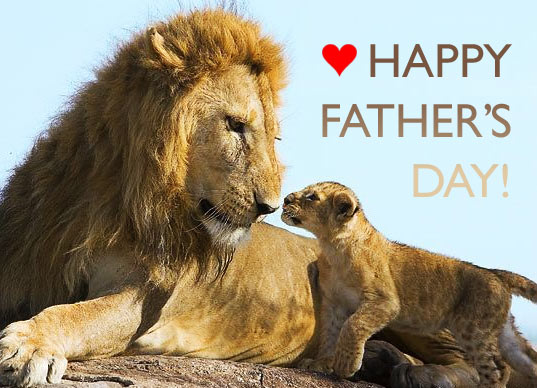 Fathers-Day-Lion