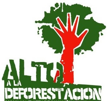 deforestacion-dia-internacional-de-la-preservacion-de-los-bosques-26dejunio-