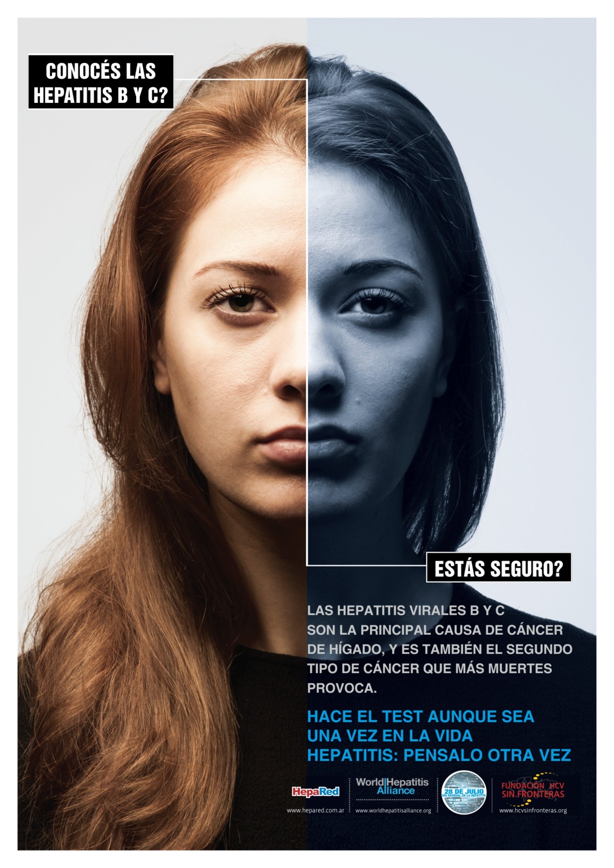 dia-mundial-de-la-hepatitis-2014-argentina-afiche