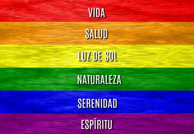 Resultado de imagen de bandera homosexual